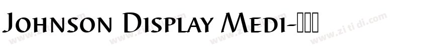 Johnson Display Medi字体转换